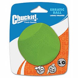 'Chuckit Erratic ball'