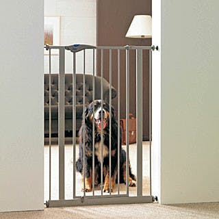 'Dog Barrier Door'