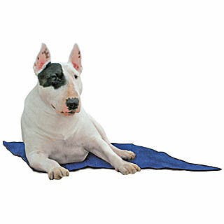 Aqua coolkeeper 'Cooling mat' tapis rafraîchissant