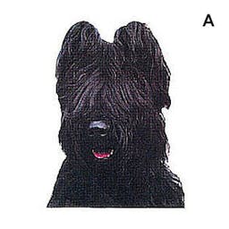 Briard noir