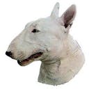 Bull terrier Bull terrier A