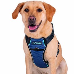 Carsafe crash tested Dog Harness