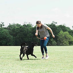 Chuckit 'Rope Fetch'