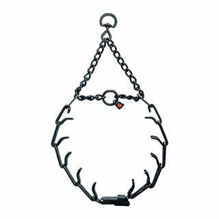 Collier Torquatus Inox noir avec ouverture rapide