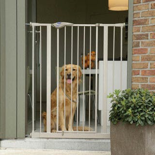 Extension 'Dog Barrier door '