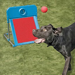 Flyball 'Garden' 