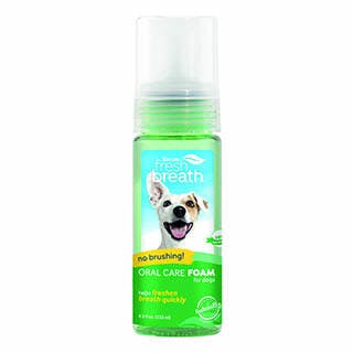 Fresh Breath Oral Care Foam