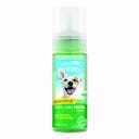 Fresh Breath Oral Care Foam 133 ml