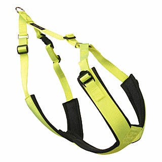 Harnais Canicross Fluo jaune