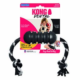 KONG 'Extreme Dental' avec corde