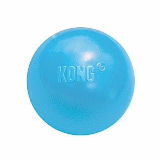 KONG 'Puppy Ball'