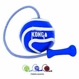 KONG 'Wavz Bunjiball' 