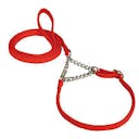 Laisse collier de présentation S6 S23/34 cm Rouge