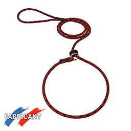 Laisse lasso ronde bicolore 