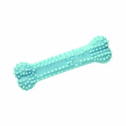 Nylabone Dental Chicken blue