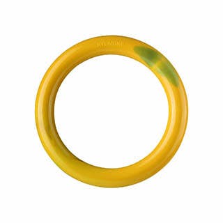 Nylabone Lard Cheeseburger Extreme Ring chew 