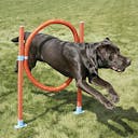 Pneu agility 'Garden'  H30/80 cm