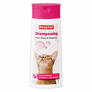 Shampooing 'Bulles' chat