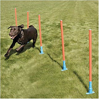 Slalom agility 'Garden'