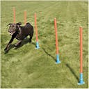 Slalom agility 'Garden'